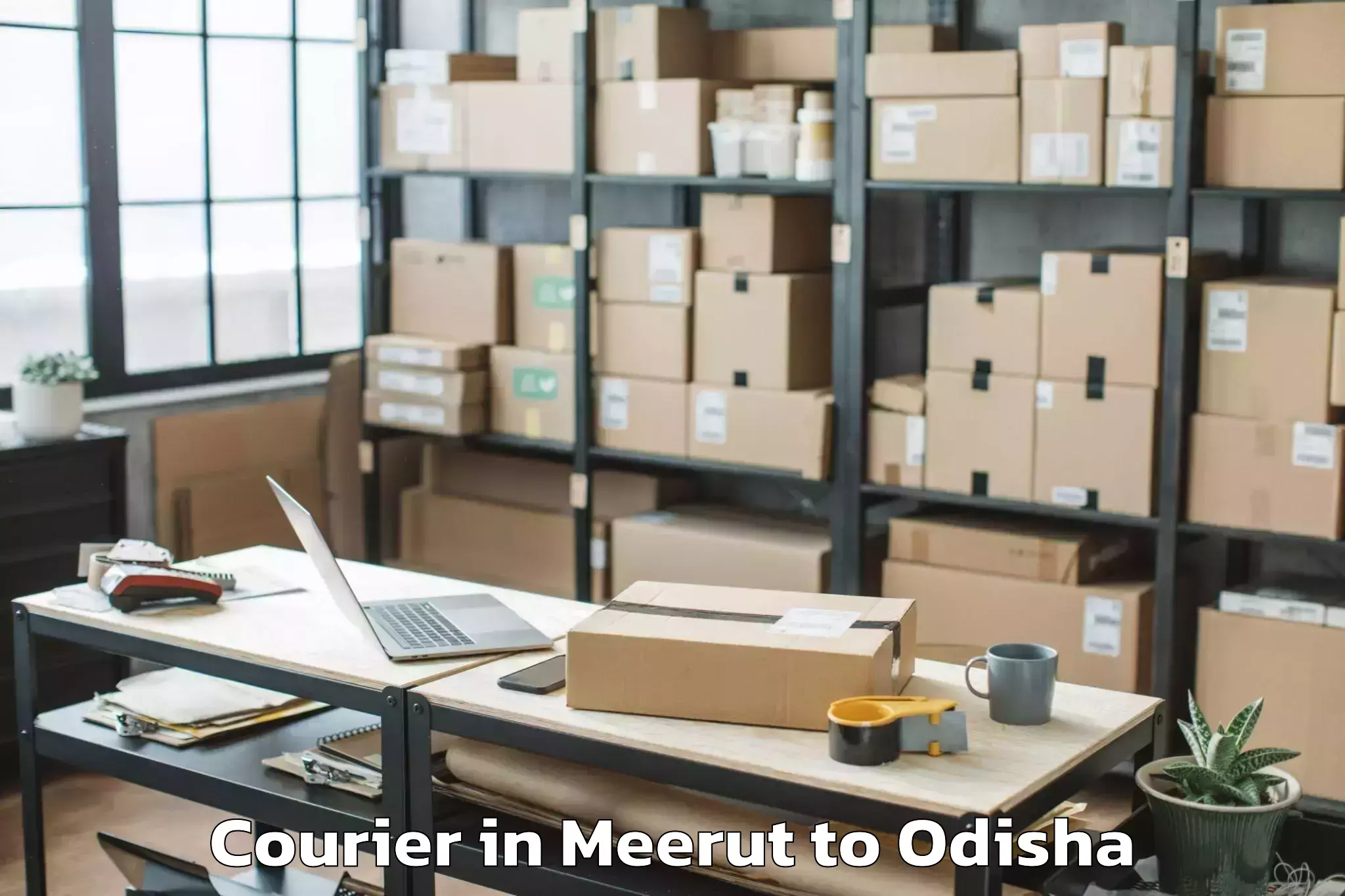 Hassle-Free Meerut to Banposh Courier